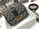 DIOR Original Quality Handbags 69