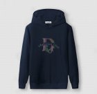 DIOR Men's Hoodies 34