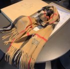 Burberry Scarves 06