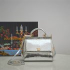 Dolce & Gabbana Original Quality Handbags 419