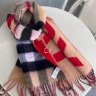 Burberry Scarves 264