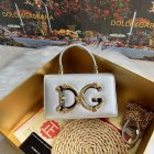 Dolce & Gabbana High Quality Handbags 464