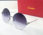 Cartier High Quality Sunglasses 501