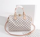 Louis Vuitton High Quality Handbags 1305
