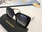 Burberry High Quality Sunglasses 493