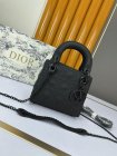 DIOR High Quality Handbags 882