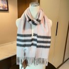 Burberry Scarves 149