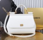 Dolce & Gabbana High Quality Handbags 730