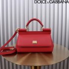 Dolce & Gabbana High Quality Handbags 553