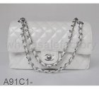 Chanel High Quality Handbags 3339