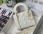 DIOR Original Quality Handbags 1083