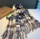 Burberry Scarves 275