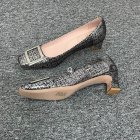 Roger Vivier Women's Shoes 131