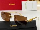 Cartier High Quality Sunglasses 18
