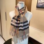 Burberry Scarves 164