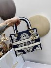 DIOR Original Quality Handbags 905