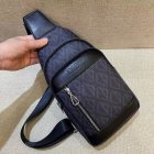DIOR High Quality Handbags 11