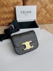 CELINE Original Quality Handbags 33