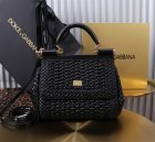 Dolce & Gabbana High Quality Handbags 439