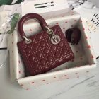 DIOR High Quality Handbags 896