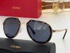 Cartier High Quality Sunglasses 13