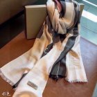 Burberry Scarves 281