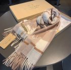 Burberry Scarves 58