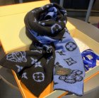 Louis Vuitton Scarves 242