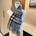Burberry Scarves 160