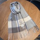 Burberry Scarves 155