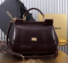Dolce & Gabbana High Quality Handbags 718