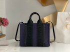 Chloe Original Quality Handbags 156