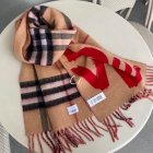 Burberry Scarves 370