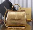 Dolce & Gabbana High Quality Handbags 699