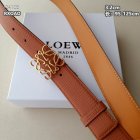 Loewe Belts 104