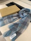 Burberry Scarves 347