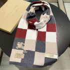 Burberry Scarves 154