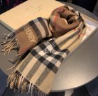 Burberry Scarves 09