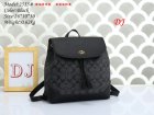 Coach Normal Quality Handbags 309