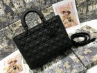 DIOR Original Quality Handbags 768