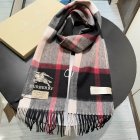 Burberry Scarves 377