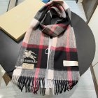 Burberry Scarves 377