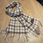 Louis Vuitton Scarves 26