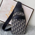 DIOR High Quality Handbags 201