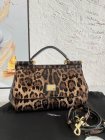 Dolce & Gabbana Original Quality Handbags 553