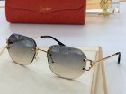 Cartier High Quality Sunglasses 1272