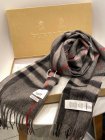Burberry Scarves 63