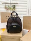 Coach High Quality Handbags 101