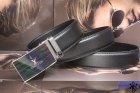 Louis Vuitton Normal Quality Belts 209