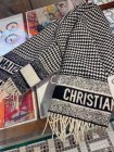 DIOR Scarves 56